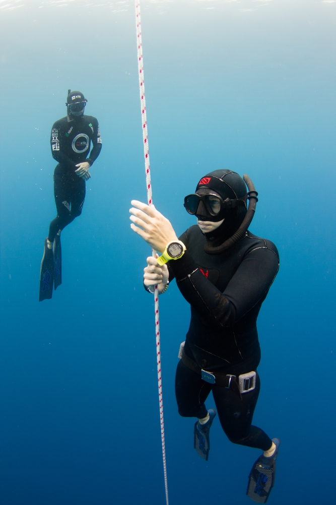 www.freedivinginstructors.com
