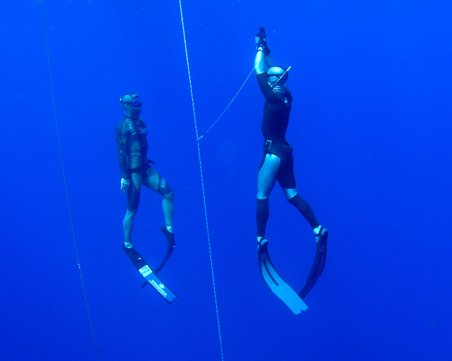 Freediving training with FII Professionals. www,freedivinginstructors.com