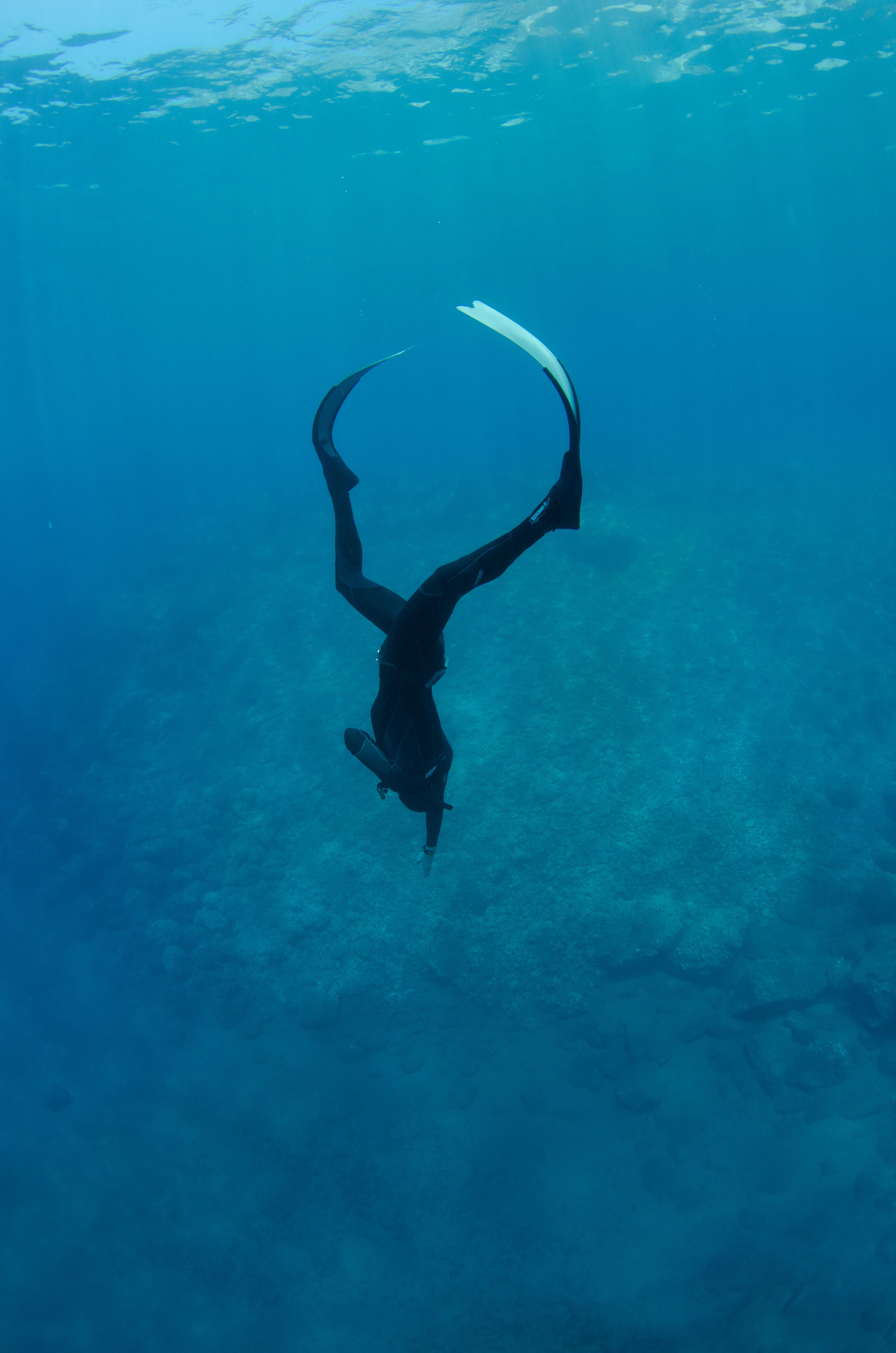 FII freediver training in Tenerife with Errol Putigna