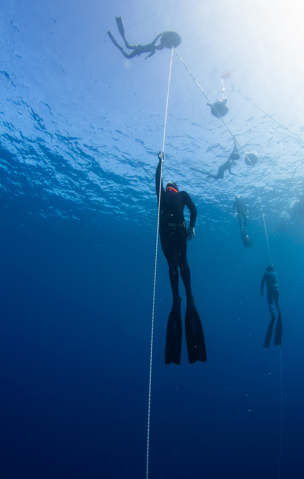 21st FII Kona Freediving Camp camp