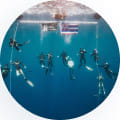 diving team underwater