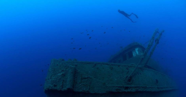 2016 FII Tenerife Freediving Camp