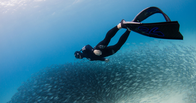 two divers under water