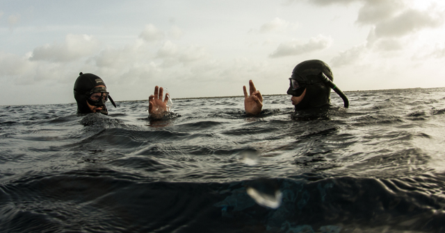 two divers under water