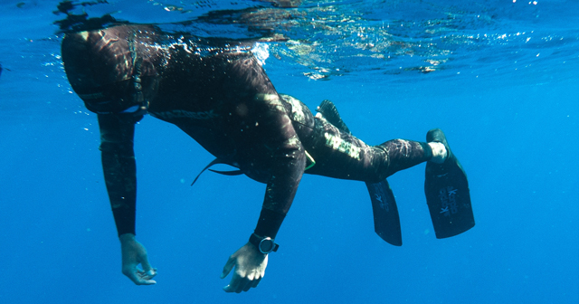 Freediving…. To breathe or not to breathe?  