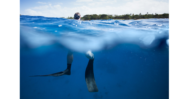 two divers under water