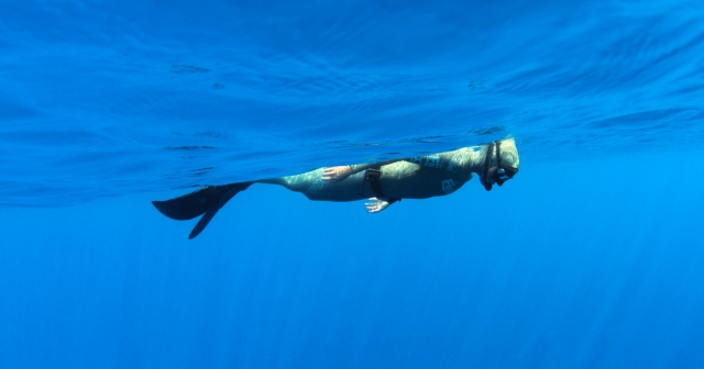 How to Choose the Best Freediving Equipment for Beginners