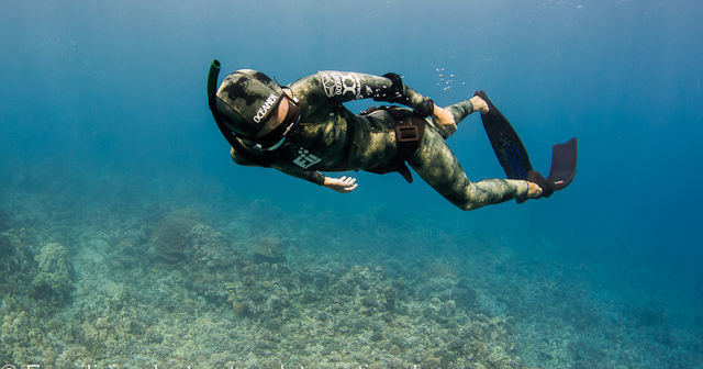 two divers under water