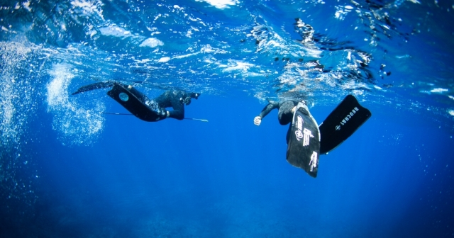 two divers under water