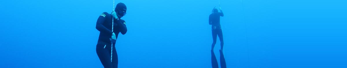 Freedivers - Freediving Instructors International