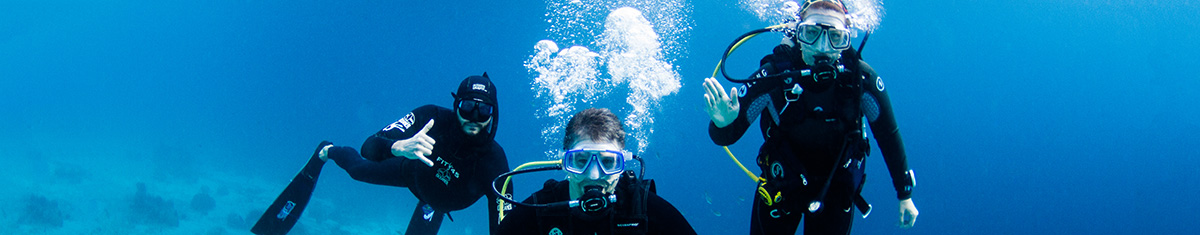 Contact Us - Freediving Instructors International